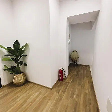 At 8 * Спліт
